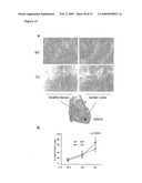 IGF-1 Novel peptides diagram and image