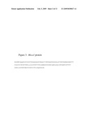 MSCA1 NUCLEOTIDE SEQUENCES IMPACTING PLANT MALE FERTILITY AND METHOD OF USING SAME diagram and image