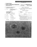 Compositions for making up keratinous materials diagram and image