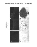 Joint Repair Using Mesenchymal Stem Cells diagram and image