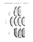 Joint Repair Using Mesenchymal Stem Cells diagram and image