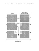 COLD STORAGE OF MODIFIED PLATELETS diagram and image