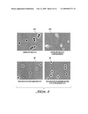 COLD STORAGE OF MODIFIED PLATELETS diagram and image