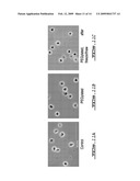 COLD STORAGE OF MODIFIED PLATELETS diagram and image