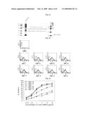 Composition Comprising Humanized Antibody HBBK4 for the Treatment of Cancer and the Use Thereof diagram and image