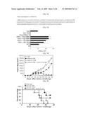 Composition Comprising Humanized Antibody HBBK4 for the Treatment of Cancer and the Use Thereof diagram and image