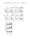 Composition Comprising Humanized Antibody HBBK4 for the Treatment of Cancer and the Use Thereof diagram and image