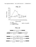 Modified Fc molecules diagram and image