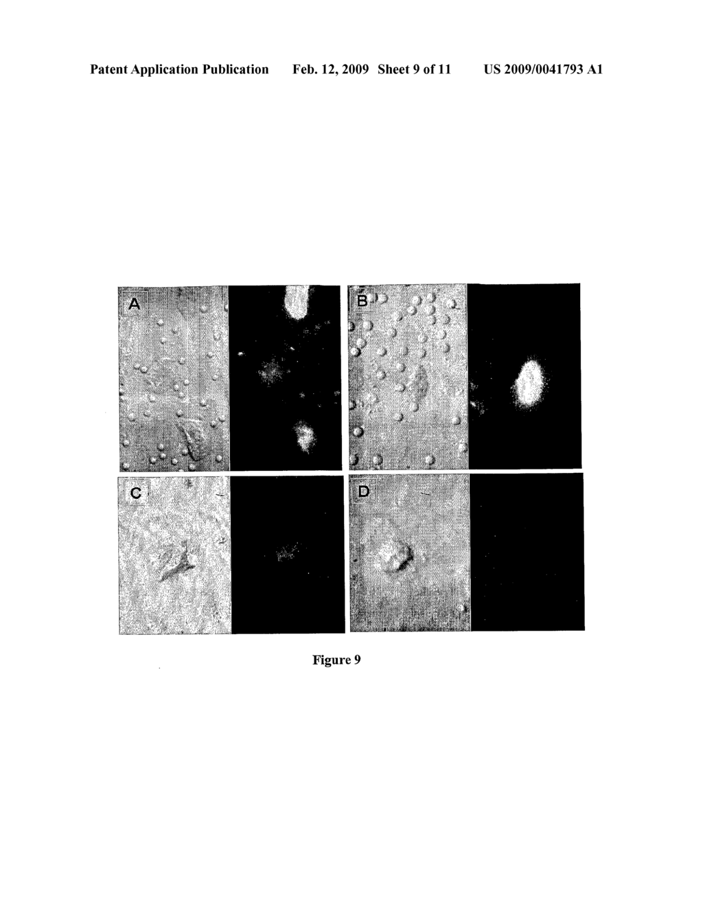 Immunostimulatory Compositions and Uses Thereof - diagram, schematic, and image 10