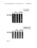 Surface protein of leptospira diagram and image