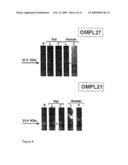 Surface protein of leptospira diagram and image