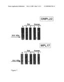 Surface protein of leptospira diagram and image