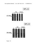 Surface protein of leptospira diagram and image