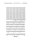 Xylanase, Microorganisms Producing It, DNA Molecules, Methods For Preparing This Xylanase And Uses Of The Latter diagram and image