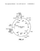 Xylanase, Microorganisms Producing It, DNA Molecules, Methods For Preparing This Xylanase And Uses Of The Latter diagram and image