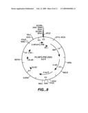 Xylanase, Microorganisms Producing It, DNA Molecules, Methods For Preparing This Xylanase And Uses Of The Latter diagram and image