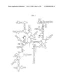 MAPPING NEW SITES FOR ANTIBIOTIC ACTION IN THE RIBOSOME diagram and image