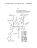 MAPPING NEW SITES FOR ANTIBIOTIC ACTION IN THE RIBOSOME diagram and image