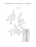 MAPPING NEW SITES FOR ANTIBIOTIC ACTION IN THE RIBOSOME diagram and image