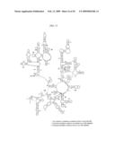 MAPPING NEW SITES FOR ANTIBIOTIC ACTION IN THE RIBOSOME diagram and image