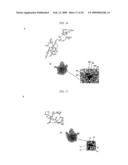 MAPPING NEW SITES FOR ANTIBIOTIC ACTION IN THE RIBOSOME diagram and image