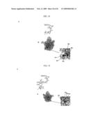 MAPPING NEW SITES FOR ANTIBIOTIC ACTION IN THE RIBOSOME diagram and image