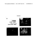 COMPOSITIONS AND METHODS FOR PREDICTING OUTCOME OF TREATMENT diagram and image