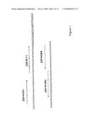 METHOD FOR DETECTING AND AMPLIFYING NUCLEIC ACID diagram and image