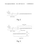 METHOD FOR MEASURING CONCENTRATION OF NUCLEIC ACIDS diagram and image