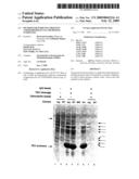 Method for purifying proteins and/or biomolecule or protein complexes diagram and image