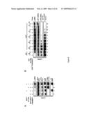 NOVEL PROTEIN MEMBER OF THE RAS/MAPK PATHWAY, ANTIBODIES THEREOF AND METHODS AND KITS OF USING SAME diagram and image