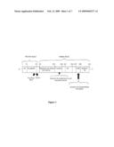 NUCLEIC ACIDS ENCODING RECOMBINANT SOLUBLE ENDOPROTEASES diagram and image