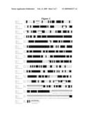 NUCLEIC ACIDS ENCODING RECOMBINANT SOLUBLE ENDOPROTEASES diagram and image