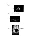 Preservation of Cells diagram and image