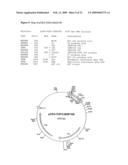 Defensin Proteins diagram and image