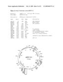 Defensin Proteins diagram and image