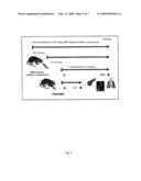 Use of Specific Trifluoromethyl Ketones for Preventing and Treating Pancreatitis diagram and image