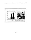 Use of Specific Trifluoromethyl Ketones for Preventing and Treating Pancreatitis diagram and image