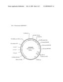 Transgenic plants with enhanced agronomic traits diagram and image