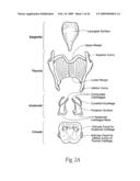 Implantable devices, systems, and methods for maintaining desired orientations in targeted tissue regions diagram and image