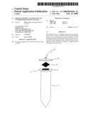 WIRELESS, REMOTE CONTROLLED, AND SYNCHRONIZED LIGHTING SYSTEM diagram and image