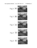 Image processing apparatus, image processing program, image processing method, and electronic camera for correcting texture of image diagram and image