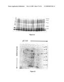 CHAPERONIN 10-INDUCED IMMUNOMODULATION diagram and image