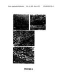 COMPOSITIONS AND METHODS FOR REVERSING AGE-RELATED CHANGES IN EXTRACELLULAR MATRIX PROTEINS diagram and image