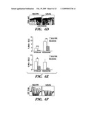 METHODS FOR INCREASING CELL OR TISSUE REGENERATION IN A VERTEBRATE SUBJECT diagram and image