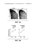 METHODS FOR INCREASING CELL OR TISSUE REGENERATION IN A VERTEBRATE SUBJECT diagram and image