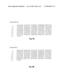 RECOMBINANT IL-9 ANTIBODIES AND USES THEREOF diagram and image