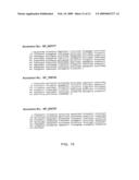 RECOMBINANT IL-9 ANTIBODIES AND USES THEREOF diagram and image