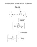 MONOMETHYLVALINE COMPOUNDS CAPABLE OF CONJUGATION TO LIGANDS diagram and image