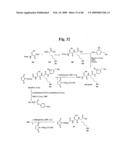 MONOMETHYLVALINE COMPOUNDS CAPABLE OF CONJUGATION TO LIGANDS diagram and image